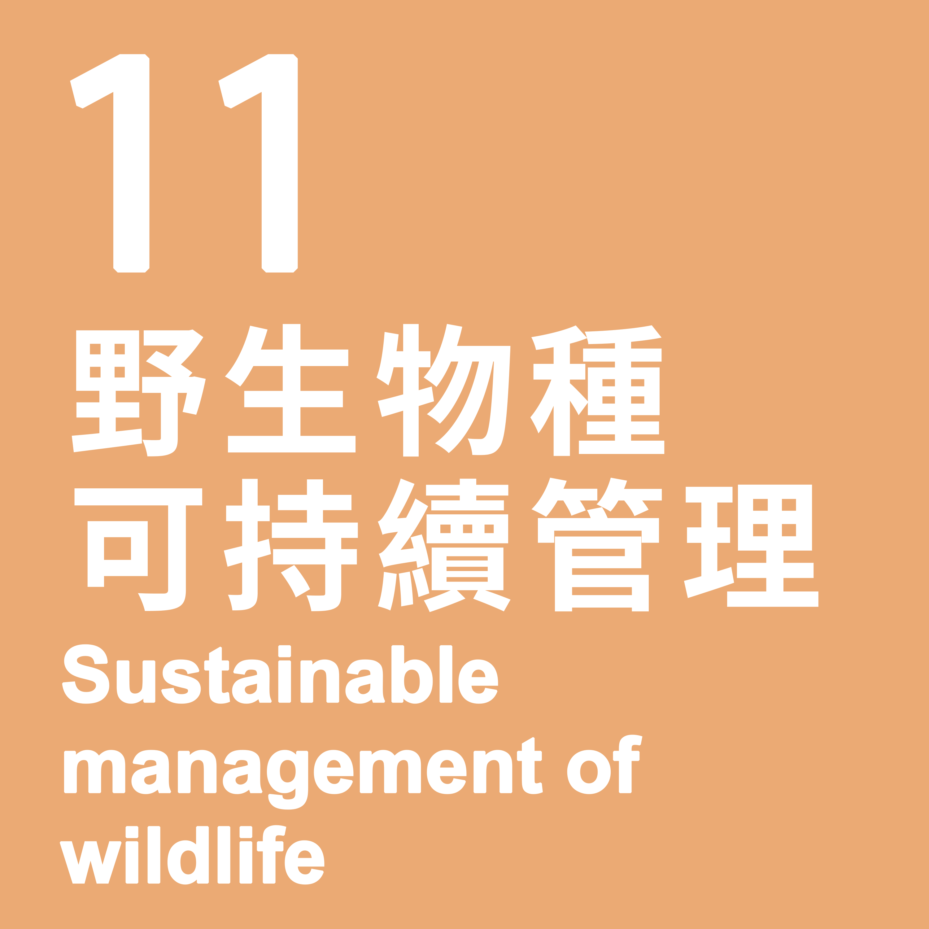 11. Sustainable management of wildlife